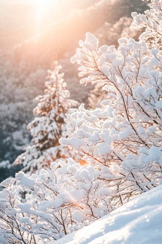 Winter uitstraling