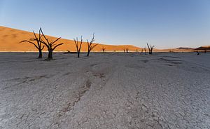 Deadvlei - Namibië von Eddy Kuipers