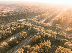 Ökodukt über eine Autobahn in der Veluwe