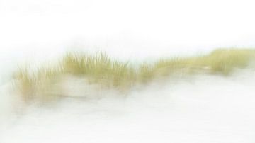 De duinen op Ameland in ICM - 4 van Danny Budts
