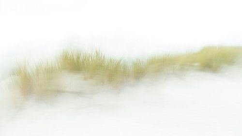 The dunes on Ameland in ICM - 4