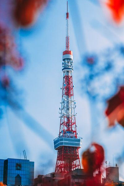 Tokyo Tower by Hello Pompoyo