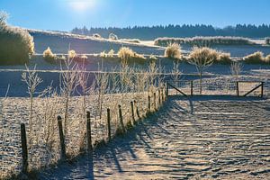 winter sur Heinz Grates