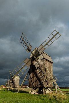 Mühlen auf der Insel Öland bei Lerkaka von Gerry van Roosmalen