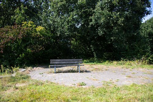 Ontdek de natuur in een bosrijk gebied in Emsland, Nedersaksen, Duitsland