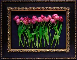 Still life with tulips