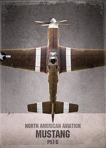 Mustang - Warbird - Flugzeug, stefan witte von Stefan Witte