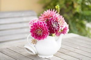 Weiße Teekanne mit rosa Dahlien auf einem hölzernen Gartentisch