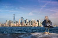 New York, Manhattan Skyline by Maarten Egas Reparaz thumbnail