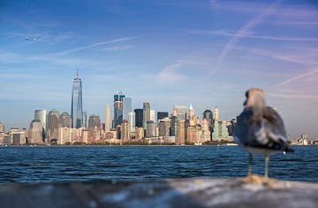 New York, Manhattan Skyline von Maarten Egas Reparaz