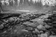 Misty river van Ton Kool thumbnail
