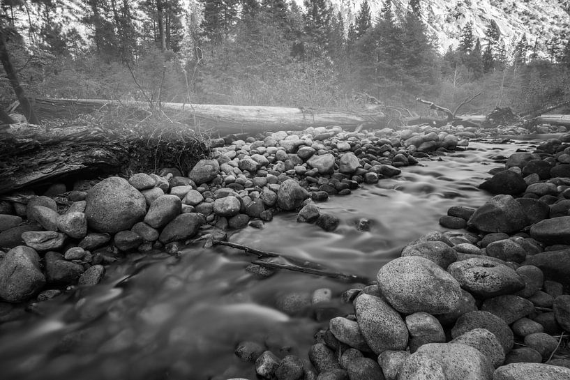 Misty river van Ton Kool