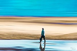 Piersteker by Willem Koenes