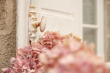 Sfeerbeeld Frans raam met bloemen van Melissa Peltenburg