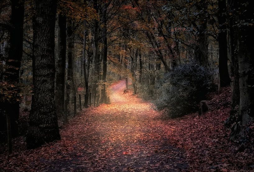 Follow the path by Maickel Dedeken