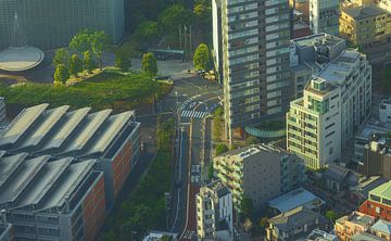 Tokyo cityscape (Japan) by Marcel Kerdijk