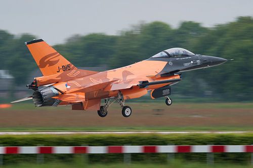 Lion orange après un vol d'entraînement