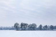 Winterlandschaft mit Bäumen von Liesbeth van Asseldonk Miniaturansicht