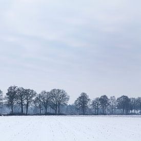 Winterlandschap met bomen van Liesbeth van Asseldonk