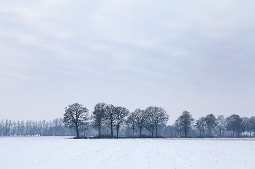 Winterlandschap met bomen