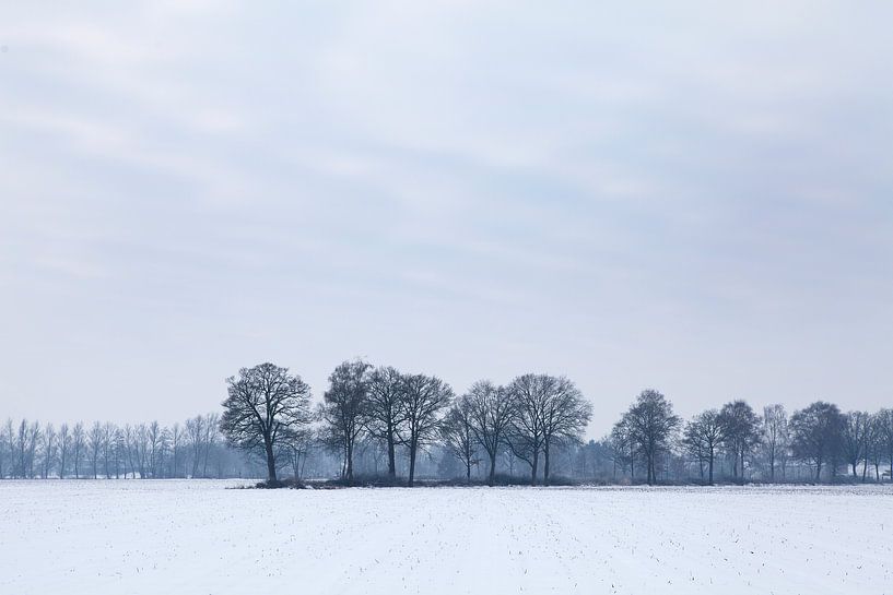 Winterlandschaft mit Bäumen von Liesbeth van Asseldonk