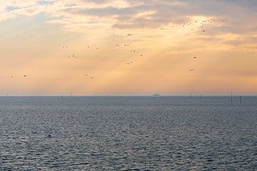 Sonnenstrahlen leuchten auf dem dunklen Wasser des Wattenmeeres von Haarms