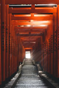 Japanse torii poorten in de avondzon van Endre Lommatzsch