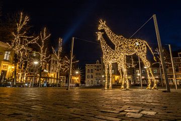Giraffen Lichtobject in Deventer op plein Grote Kerkhof
