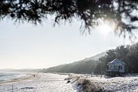 Winter walk