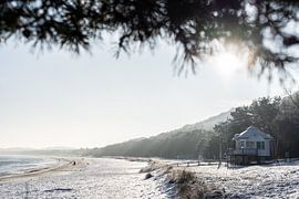 Winterspaziergang von Sandra Schmidt