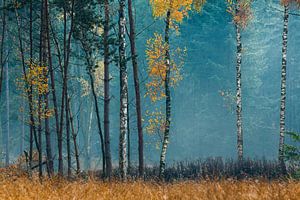 Warme herfsttinten in Mastbos Breda van JPWFoto