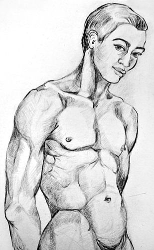 Drawing of a man's torso.