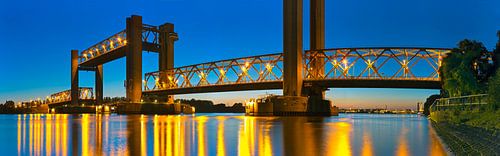 Panorama Spijkenisserbrug