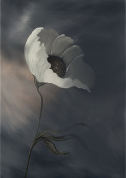Protection