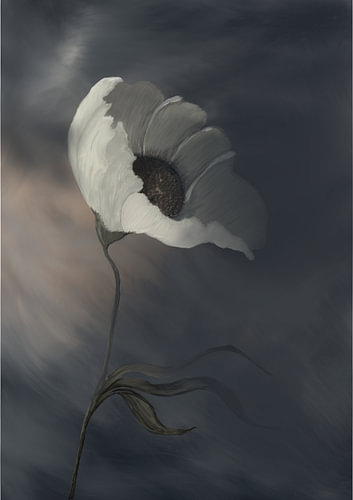 Protection