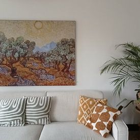 Customer photo: Vincent van Gogh. Olive trees, on ArtFrame