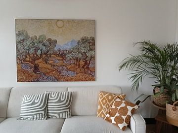Klantfoto: Vincent van Gogh. Olijfbomen (gezien bij interieurtalent gezocht met vtwonen)