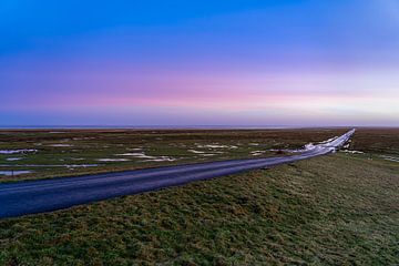 Further by Vogelvrij fotografie