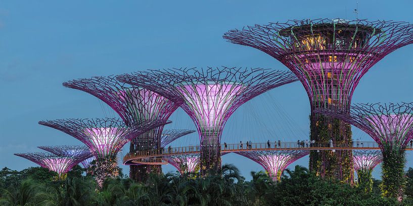 Supertrees, Gardens by the Bay, Singapore van Markus Lange