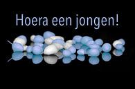 Hoera een jongen!   (Muisjes Blauw/Wit) van Henk Egbertzen thumbnail