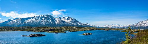 Ongerept landschap in het grensgebied tussen Canada en Alaska