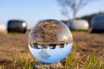 Glass globe 3 by Maarten Kooij