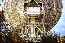 Massive Untertasse von SchippersFotografie