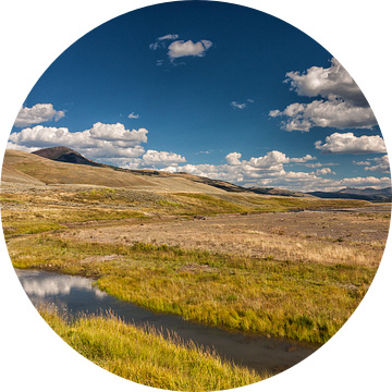 Yellowstone landschap van Ilya Korzelius