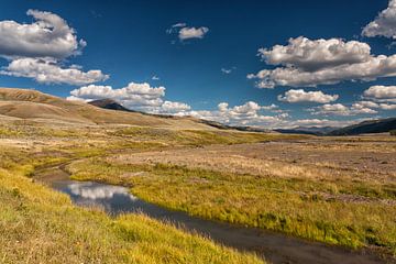 Yellowstone landscape by Ilya Korzelius