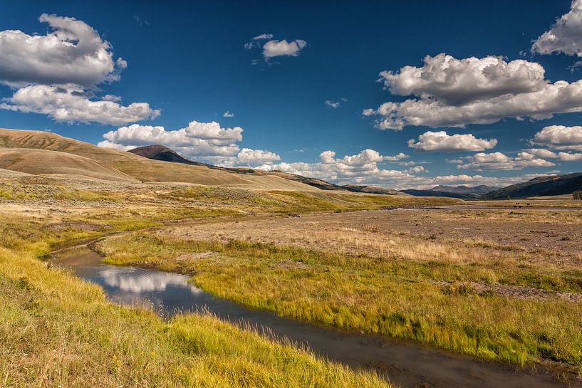 Yellowstone landschap van Ilya Korzelius