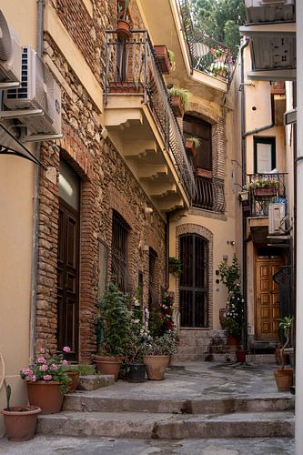 La vie dans la rue