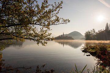 Eiland in het meer van Bled vroeg in de ochtend van Sonja Birkelbach