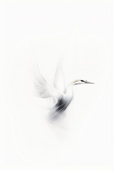 The graceful elegance of the Jan van Gent by Karina Brouwer