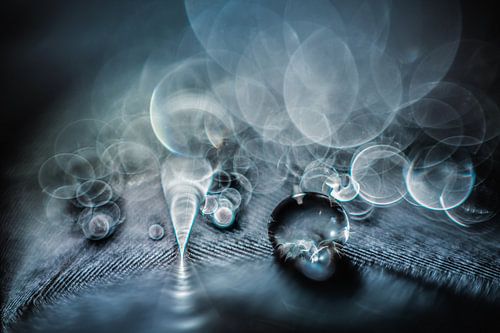 Druppels op een veertje